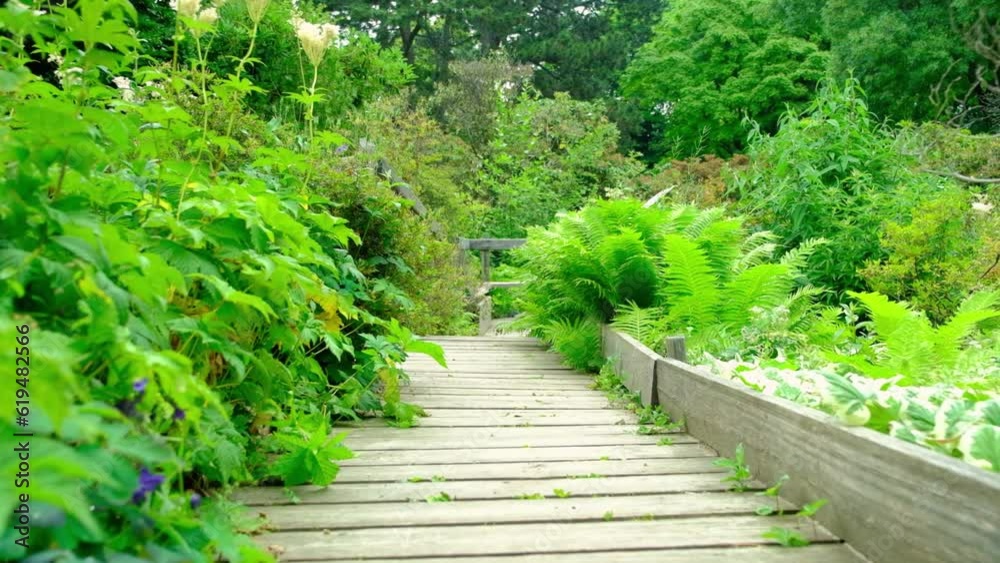 A path in the forest, a cozy and quiet road in the botanical garden. A path in the forest, a cozy and quiet road in the botanical garden.