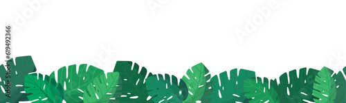 Tropical seamless banner with monstera leaves. Rainforest. Summer tropical flat leaf. Summertime style. Vector illustration