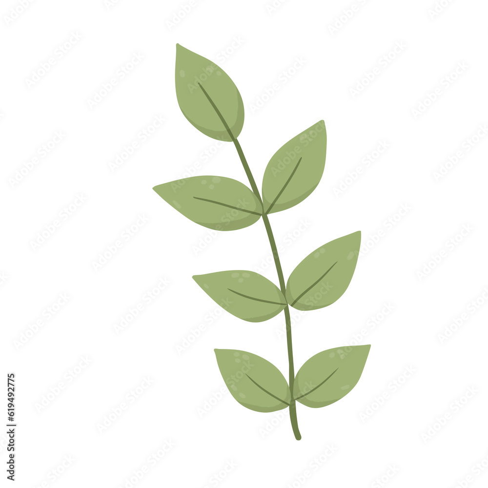 green leaves isolated green leaves isolated