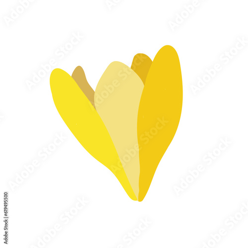 Collection of crocuses and saffrons. A set of spring purple, yellow and white crocuses. Vector illustration of beautiful multicolored flowers