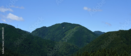 日本の山々 広葉樹 針葉樹 田舎の風景