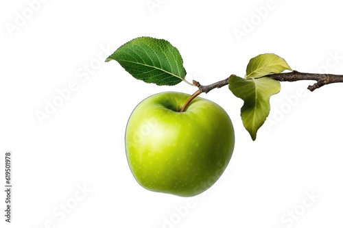 Green juicy apple isolated on transparent background. Green apple on branch
