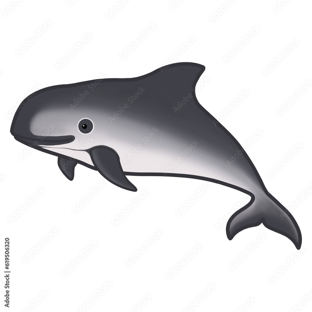 Fototapeta premium Dolphin vaquita