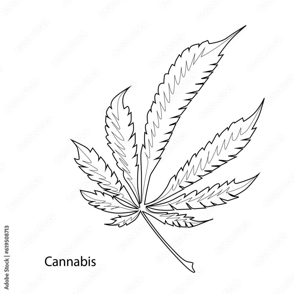 Obraz premium Marijuana leaf. Coloring. Black outline on a white background. 