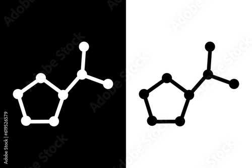 Proline amino acid molecule. Oxygen, Carbon and Nitrogen atoms shown as circles in vector illustration.
