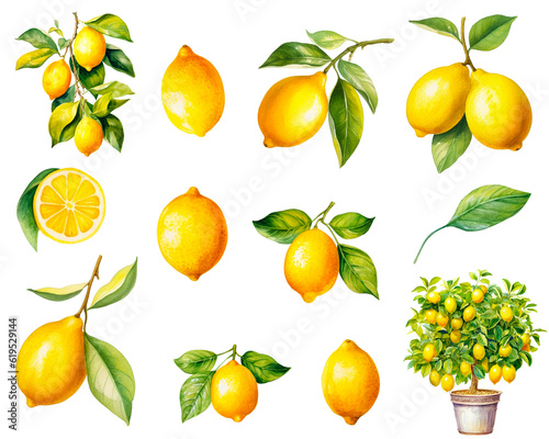 Watercolor yellow lemon, citrus fruits set isolated on white background. PNG transparent background. AI Generative.