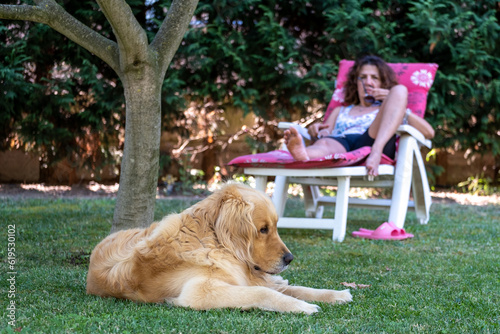 Woman lying on deck chair together with her brown golden retriever dog on a lawn in their beautiful country house backyard. The woman spends the summer. 