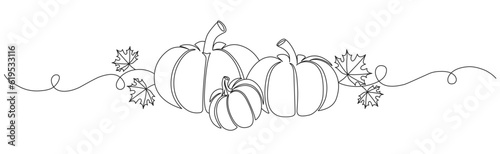Pumpkin line art vector illustration
