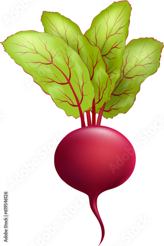 Cartoon fresh beetroot vegetable
