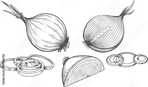 Onion etched drawing