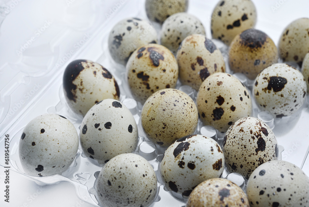 Quail eggs in plastic packaging. Quail eggs on a white background. A delicious snack.
