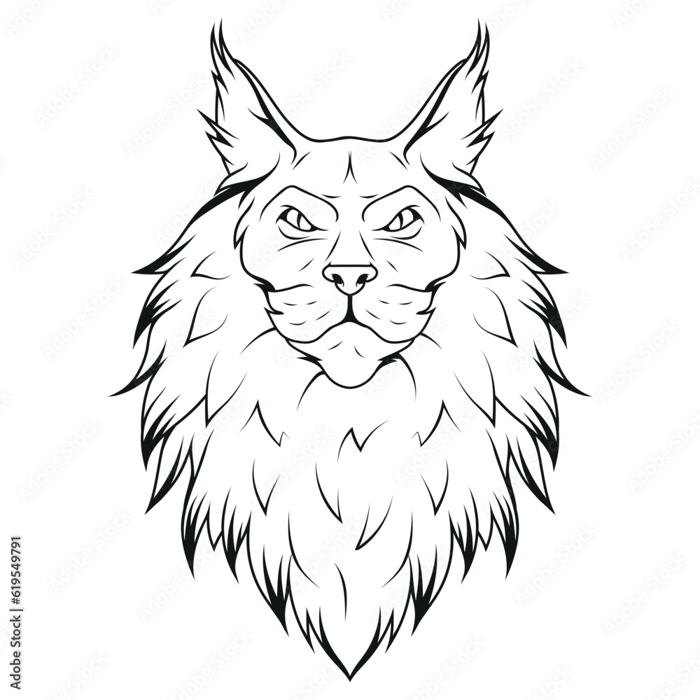 Maine Coon cat. Vector illustration of a sketch Kitten ginger. Illustration for cat cattery, pet shop, pet hotel