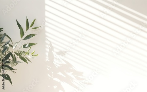 Blurred shadow from leaves plants tree branch on the white wall. Sunlight and foliages leaves shadow. Minimal abstract background for product presentation.