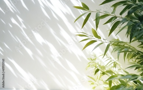 Blurred shadow from leaves plants tree branch on the white wall. Sunlight and foliages leaves shadow. Minimal abstract background for product presentation. © lanters_fla