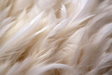 Ethereal Macro Shot of Delicate White Hen Feathers. Generative AI