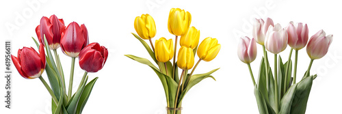 A collection of fresh natural pink, yellow, and red tulip flowers bouquet set. Generative AI #619566111