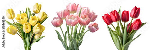 A collection of fresh natural pink, yellow, and red tulip flowers bouquet set. Generative AI © SRITE KHATUN