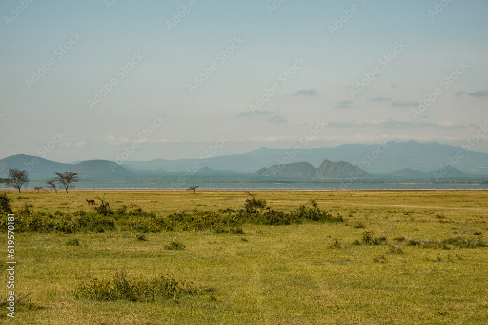 Scenic view of flamingos at Lake Elementaita with the background of Sleeping warrior Hill at Soysambu Conservancy, Naivasha, Kenya Scenic view of flamingos at Lake Elementaita with the background of Sleeping warrior Hill at Soysambu Conservancy, Naivasha, Kenya