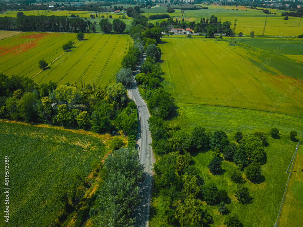panorama of a road in the countryside on a sunny summer day, view from a drone