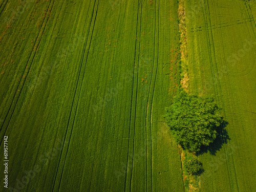 Aerial view of Poasco in Italy surrounded by fields and countryside. Milan  Lombardy Aerial photo. Top view of countryside and green fields. Country Life Concept. Aerial photography in the summer.  