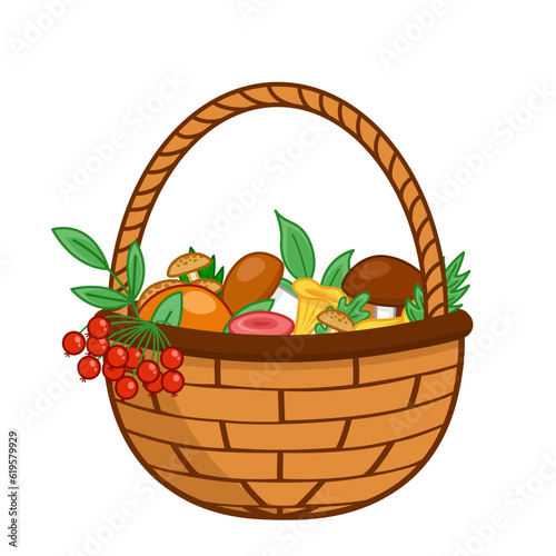 Basket with mushrooms and rowan. Full autumn basket with tasty edible mushrooms. Cartoon, vector