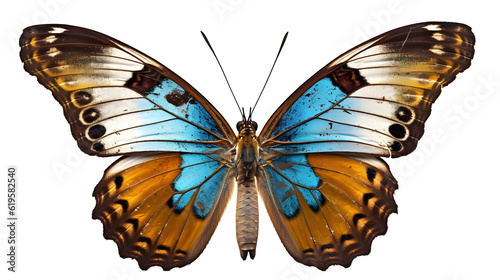 butterfly isolated on transparent background ,generative ai © Leo