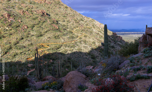 Hikers On A Desert Ttrail In Scottsdale AZ photo