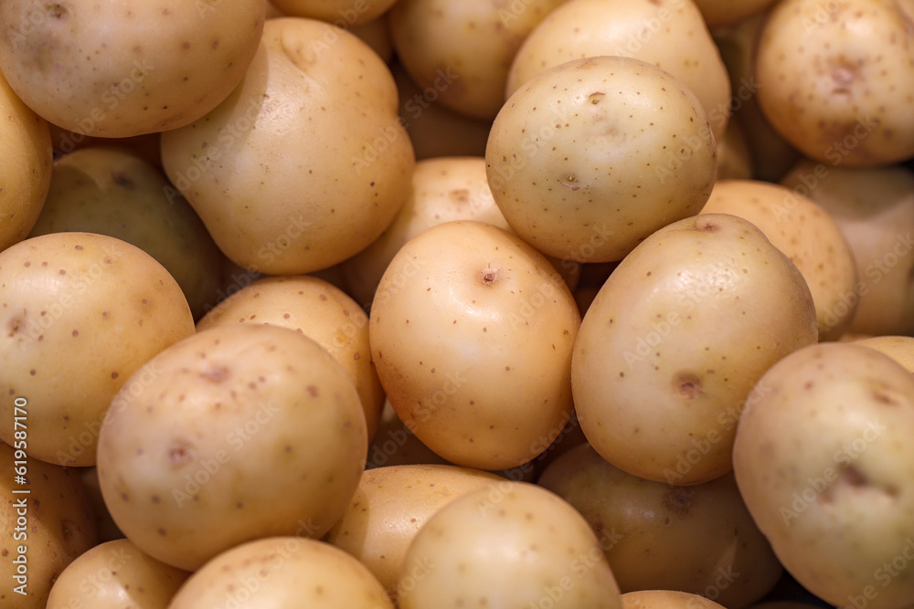 Potato in bulk in grocery supermarket, selective focus Potato in bulk in grocery supermarket, selective focus