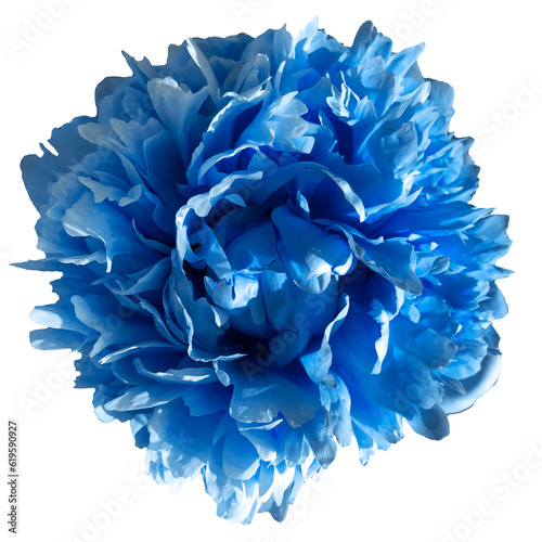 Wallpaper Mural blue peony flower Torontodigital.ca