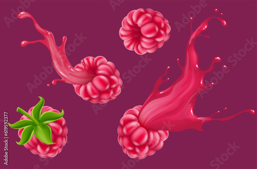 Raspberry fruit with juice splash. Vector