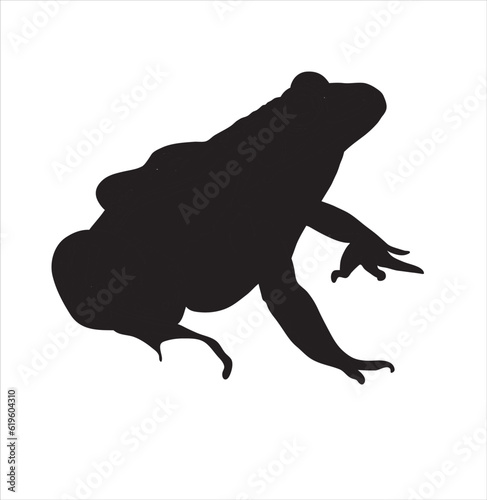 Frog illustration cute