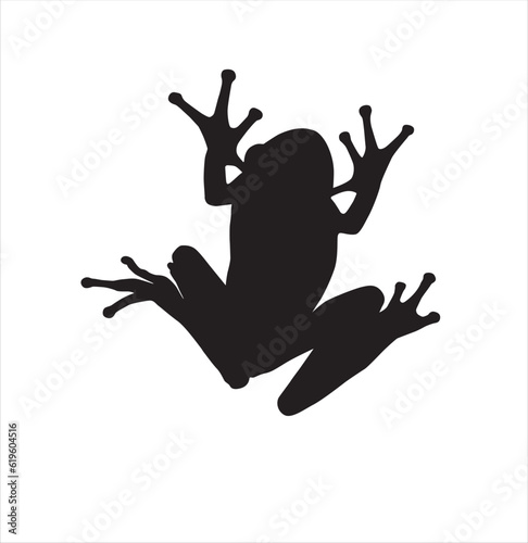 Frog illustration cute