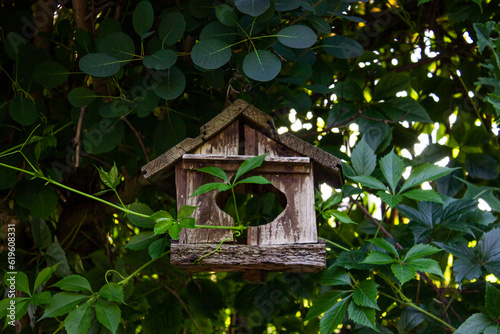 Wooden old birdhouse with a hole hanging on a tree. Birdhouse in garden.
