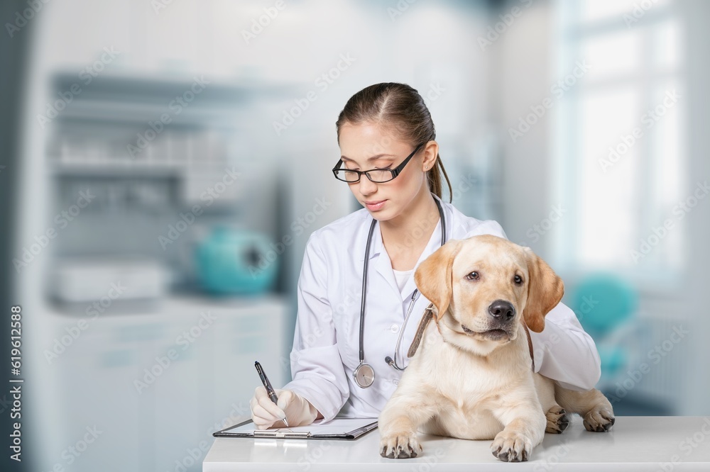 Vet Clinic concept,  Veterinarian and cute dog, AI generated image