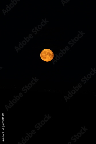 full moon in the night