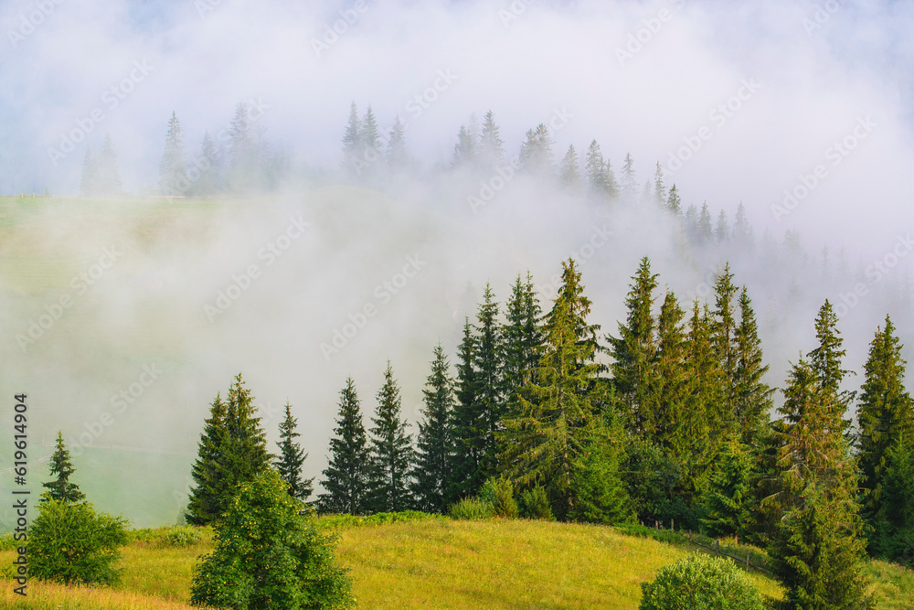 Ukraine, Ivano Frankivsk region, Verkhovyna district, Dzembronya village, Foggy rolling landscape in Carpathian Mountains Ukraine, Ivano Frankivsk region, Verkhovyna district, Dzembronya village, Foggy rolling landscape in Carpathian Mountains