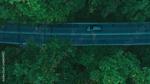 View from the drone on an extremely lively and green forest in the middle of which the street runs. Aerial view of the street and lovely forest.