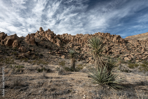Muted Colors of Grapevine Hills In Big Bend