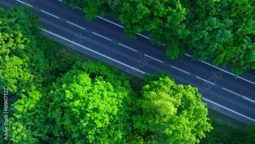 View from the drone on an extremely lively and green forest in the middle of which the street runs. Aerial view of the street and lovely forest.