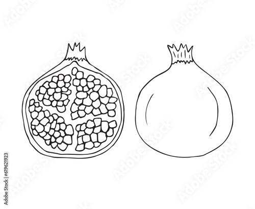 Vector hand drawn sketch doodle pomegranate isolated on white background