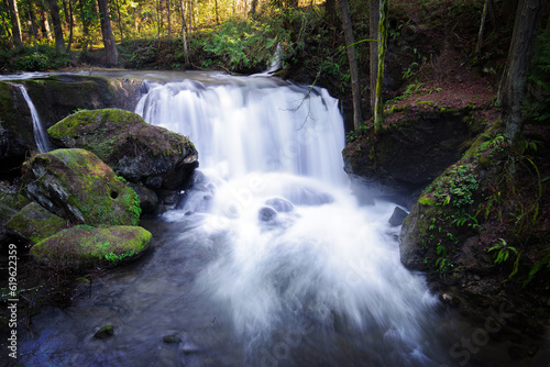 Whatcom Falls in spring