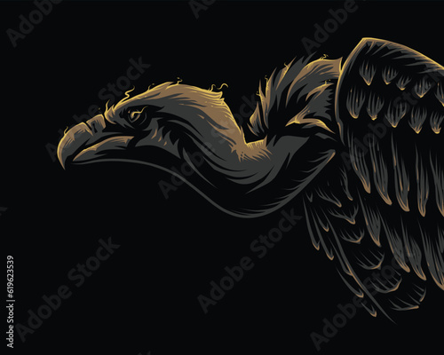 vulture bird illustration