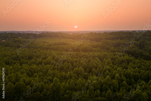 sunrise over the field