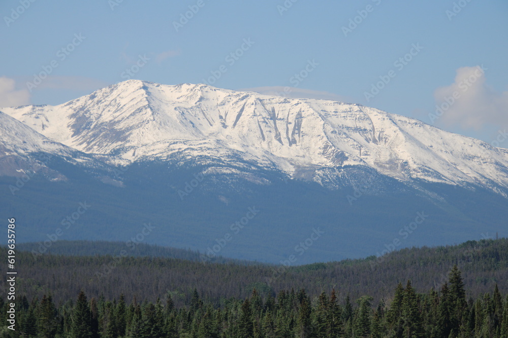 Snowy Ridge, Jasper National Park, Alberta