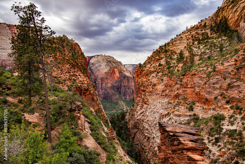Elevated view of Zion National Park with Angel's Landing 