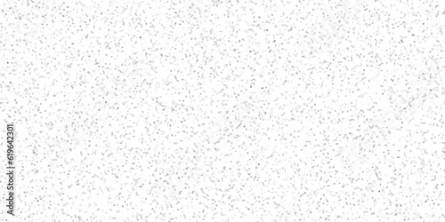 White paper texture background and terrazzo flooring texture polished stone pattern old surface marble background. Monochrome abstract dusty worn scuffed background. Spotted noisy backdrop bakground.