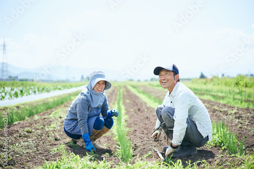 笑顔で農業を営む夫婦 photo