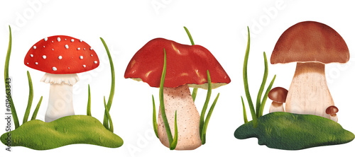 A set of delicious porcini, honey agaric, orange-cup boletus and red poisonous mushroom fly agaric in the forest. Isolated watercolor illustration - tutorial, guide, workbook, print, scrapbooking