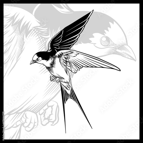flying swallow bird vector illustration