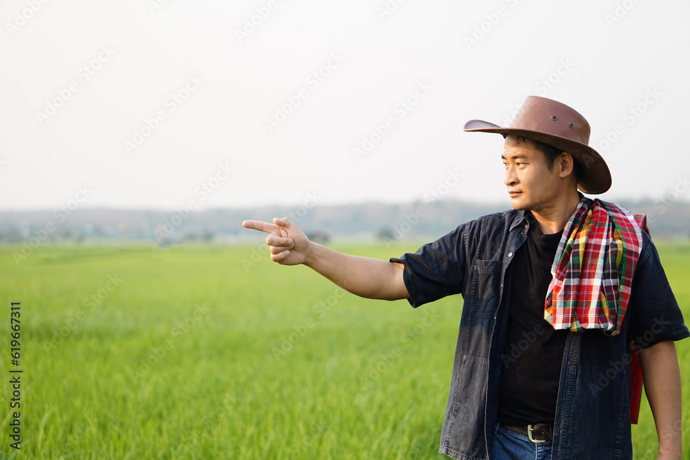 Handsome Asian farmer wearing hat and Thai traditional loincloth on shoulder is looking and pointing to his green rice paddy field. Concept, agricultural occupation , fashion for man Local lifestyle 